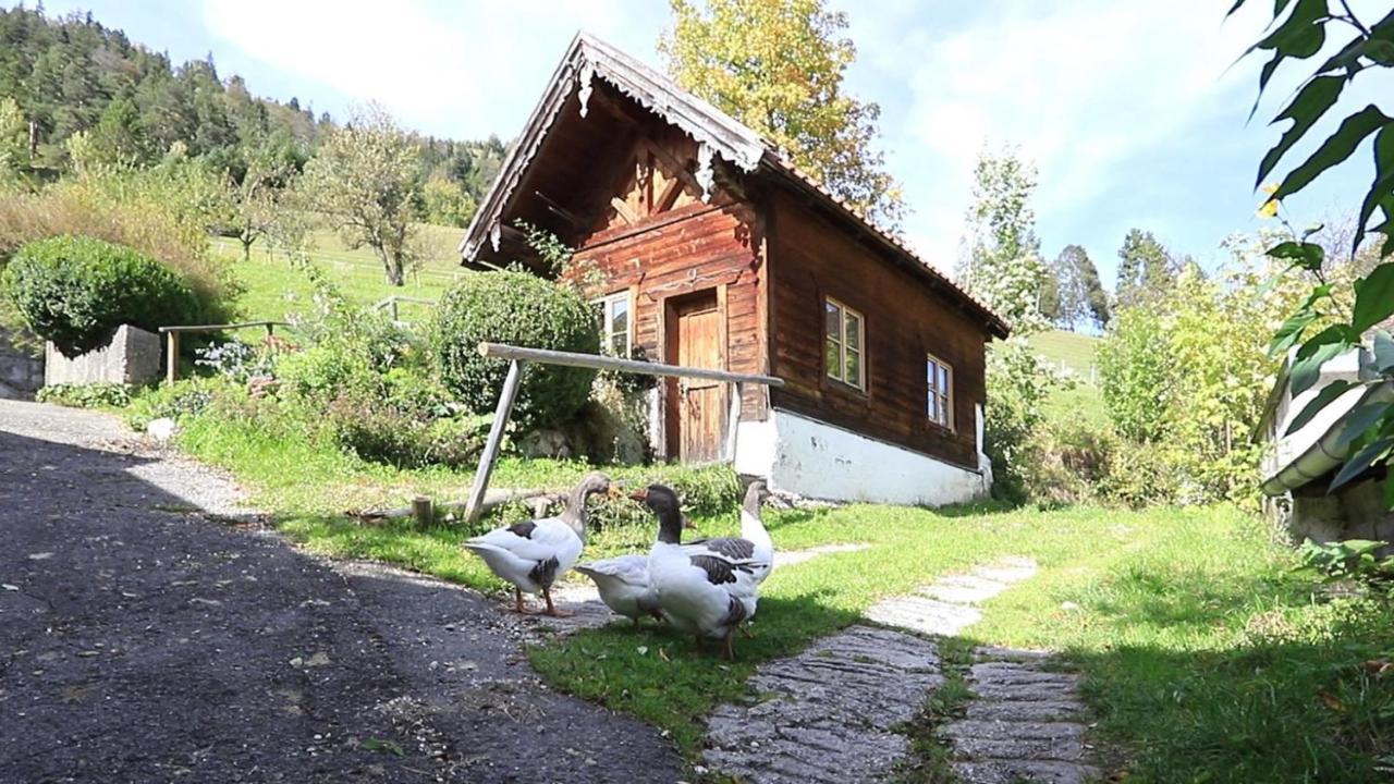 Apartamento Haus Holler Wallgau Exterior foto